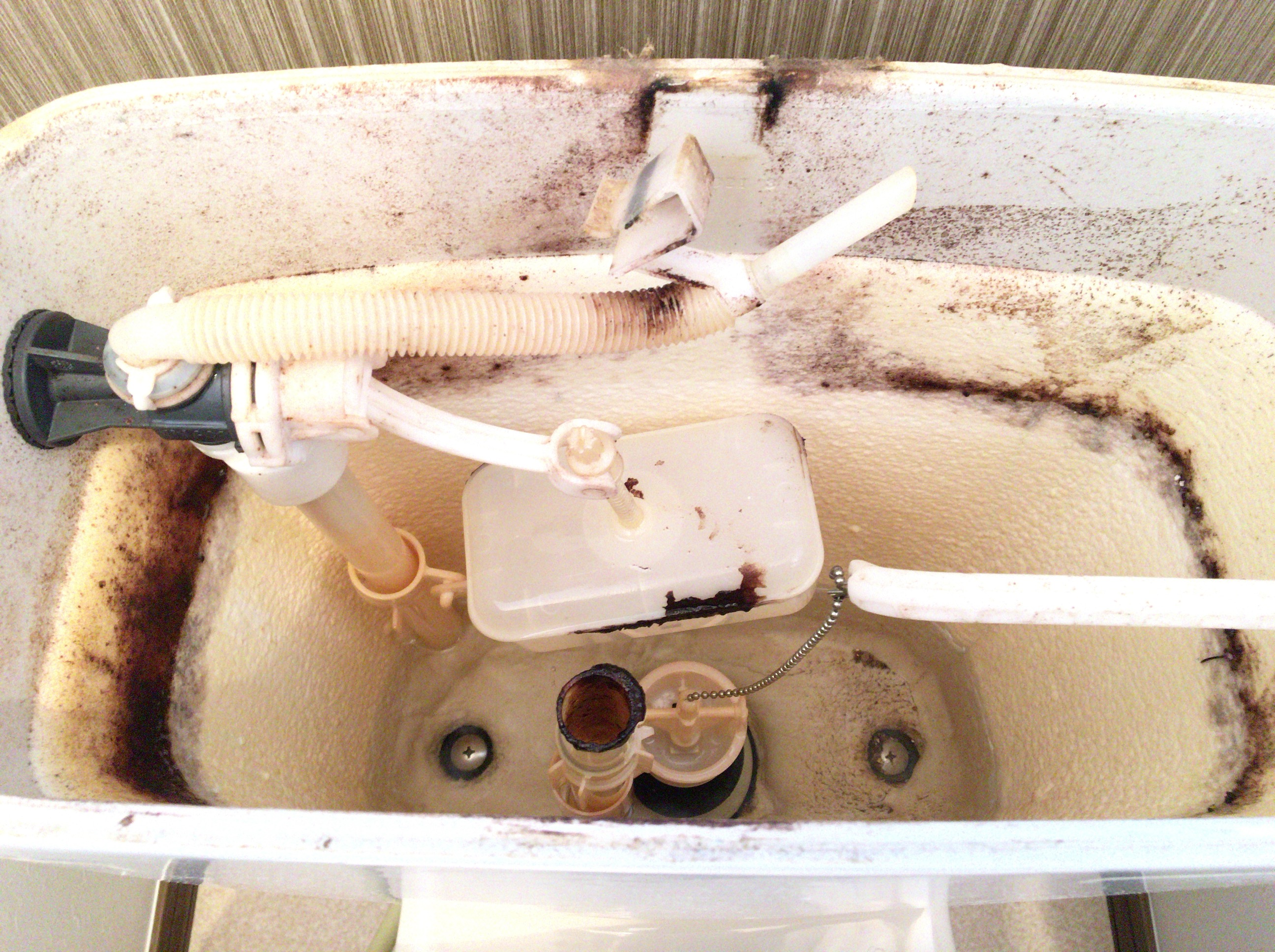 トイレのタンク内の水漏れを修理し自分で直す方法 ボールタップを交換して節水効果も！ 宮城の家づくり情報局